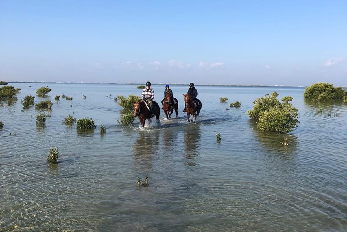 mangroves-ride_1
